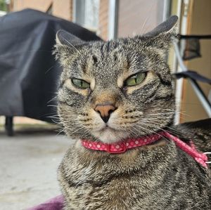 Meet your Posher, Alexandra